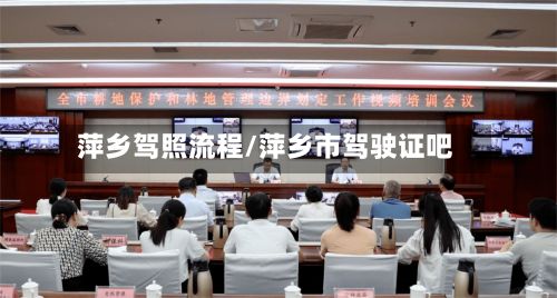 萍乡驾照流程/萍乡市驾驶证吧-第2张图片