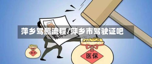 萍乡驾照流程/萍乡市驾驶证吧