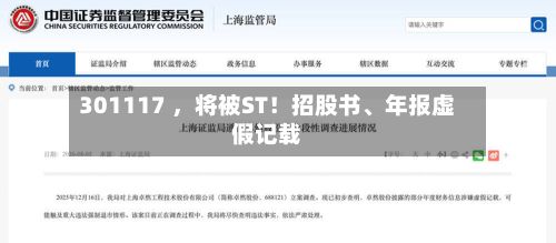 301117 ，将被ST！招股书、年报虚假记载