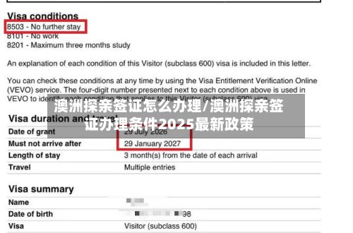 澳洲探亲签证怎么办理/澳洲探亲签证办理条件2025最新政策-第2张图片