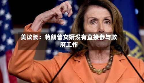 美议长:特朗普女婿没有直接参与政府工作-第2张图片