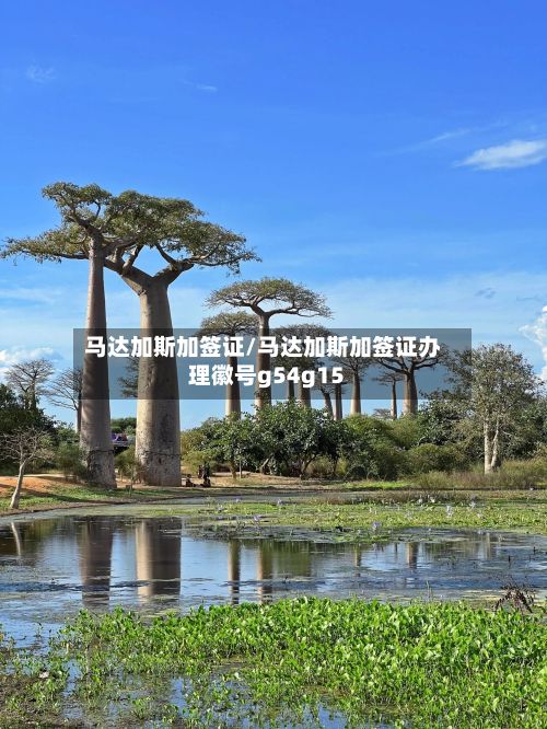 马达加斯加签证/马达加斯加签证办理徽号g54g15