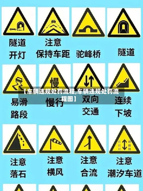 【车辆违规处罚流程,车辆违规处罚流程图】