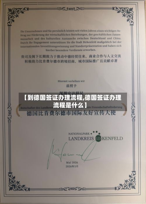 【到德国签证办理流程,德国签证办理流程是什么】