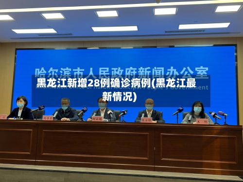 黑龙江新增28例确诊病例(黑龙江最新情况)-第2张图片