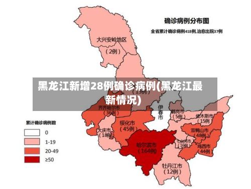 黑龙江新增28例确诊病例(黑龙江最新情况)