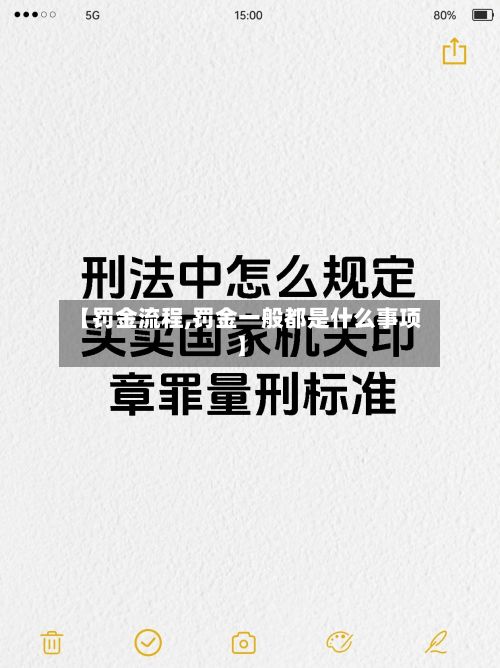 【罚金流程,罚金一般都是什么事项】