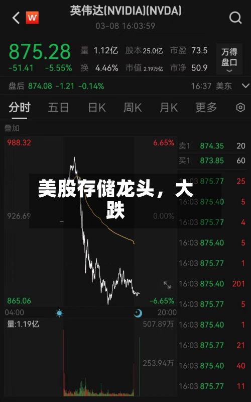 美股存储龙头,大跌