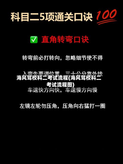 海风驾校科二考试流程(海风驾校科二考试流程图)