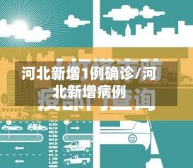 河北新增1例确诊/河北新增病例