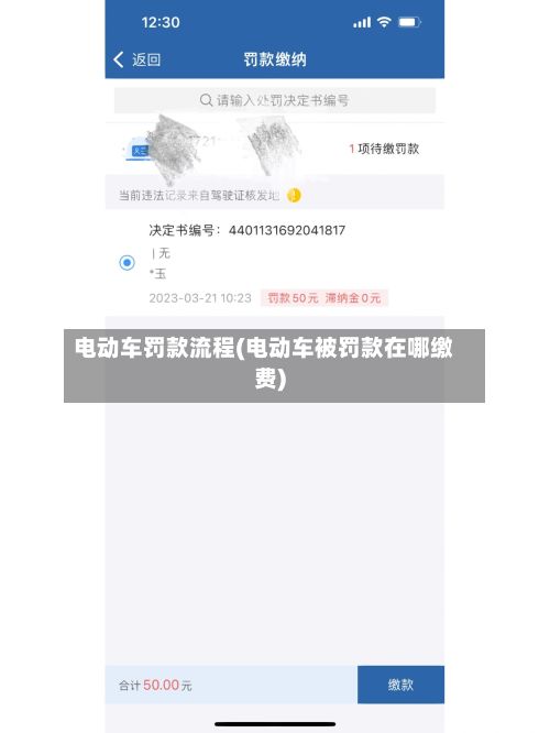 电动车罚款流程(电动车被罚款在哪缴费)