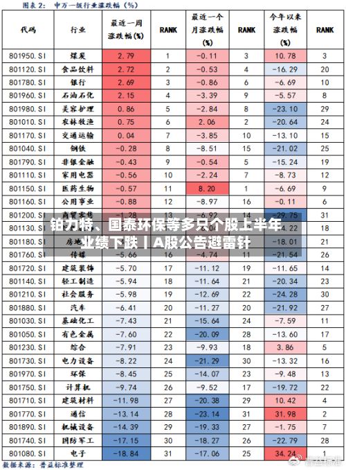 铂力特、国泰环保等多只个股上半年业绩下跌丨A股公告避雷针-第2张图片