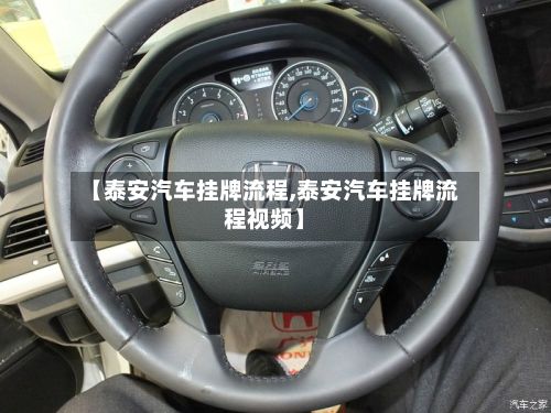 【泰安汽车挂牌流程,泰安汽车挂牌流程视频】-第3张图片