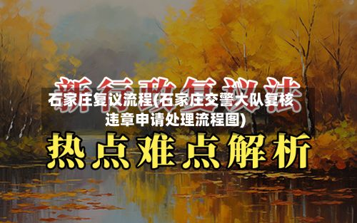 石家庄复议流程(石家庄交警大队复核违章申请处理流程图)