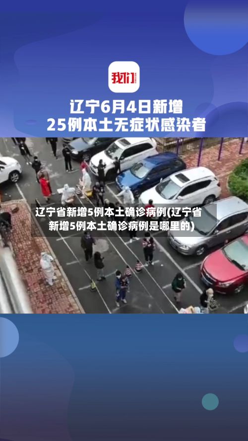 辽宁省新增5例本土确诊病例(辽宁省新增5例本土确诊病例是哪里的)-第2张图片