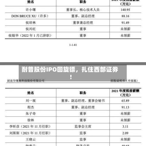 耐普股份IPO回旋镖,扎住西部证券!