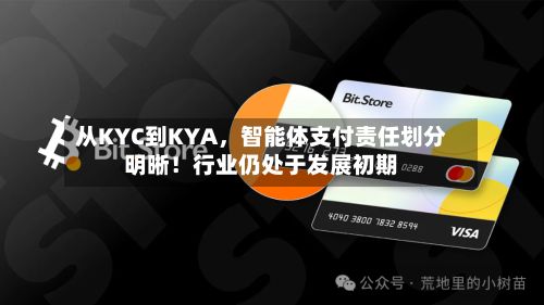 从KYC到KYA，智能体支付责任划分明晰！行业仍处于发展初期-第2张图片