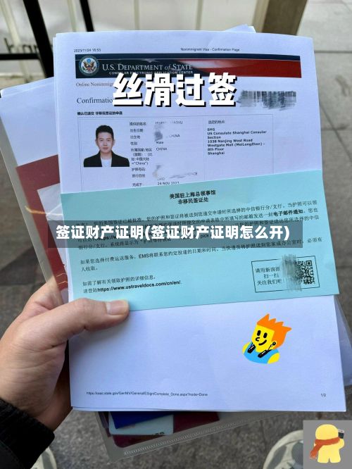 签证财产证明(签证财产证明怎么开)