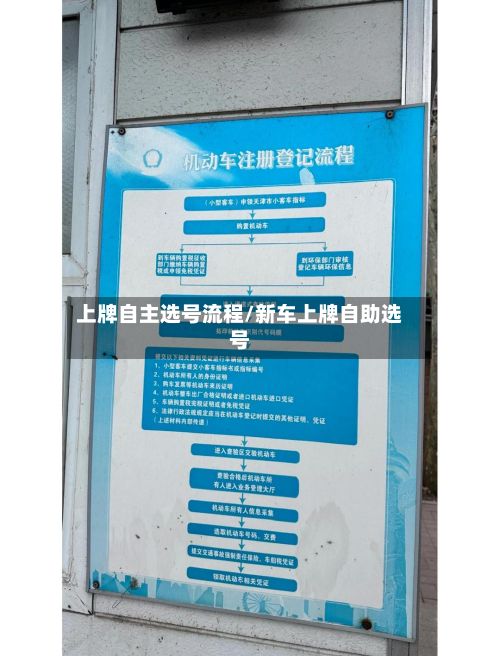 上牌自主选号流程/新车上牌自助选号-第3张图片