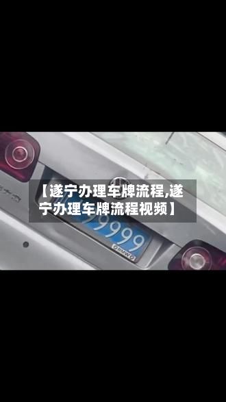 【遂宁办理车牌流程,遂宁办理车牌流程视频】