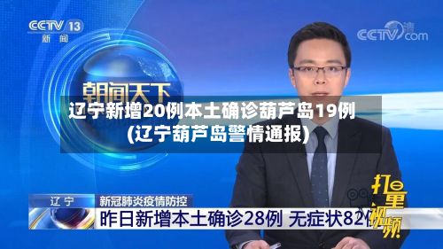 辽宁新增20例本土确诊葫芦岛19例(辽宁葫芦岛警情通报)