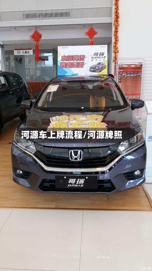 河源车上牌流程/河源牌照