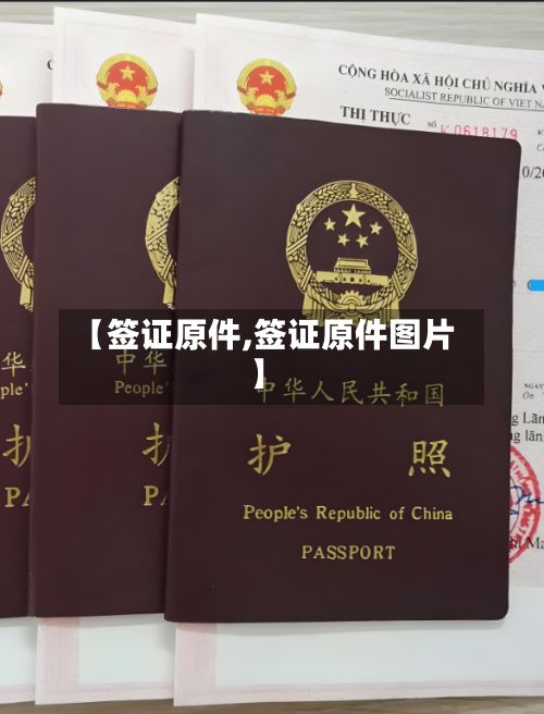 【签证原件,签证原件图片】-第2张图片