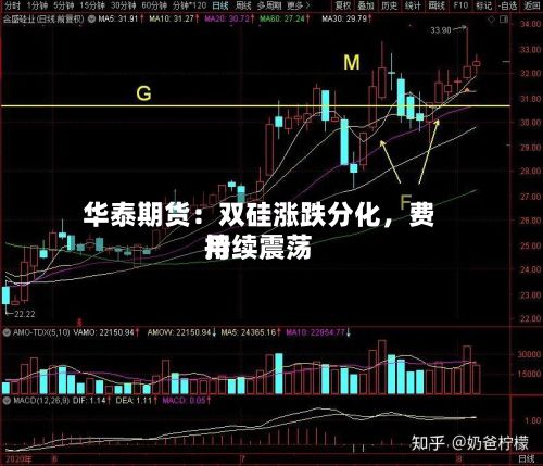 华泰期货：双硅涨跌分化	，费用持续震荡-第1张图片
