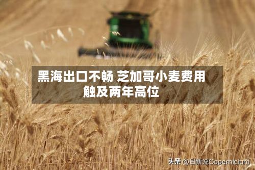 黑海出口不畅 芝加哥小麦费用
触及两年高位-第2张图片