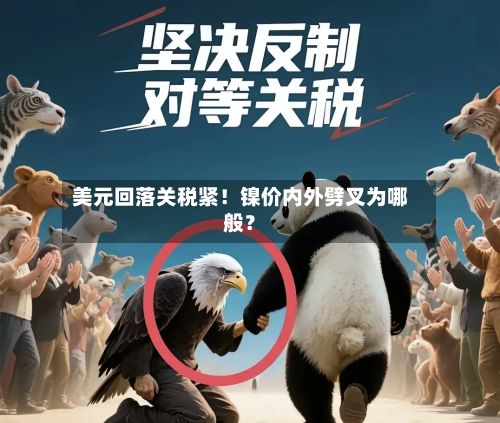 美元回落关税紧!镍价内外劈叉为哪般?-第2张图片