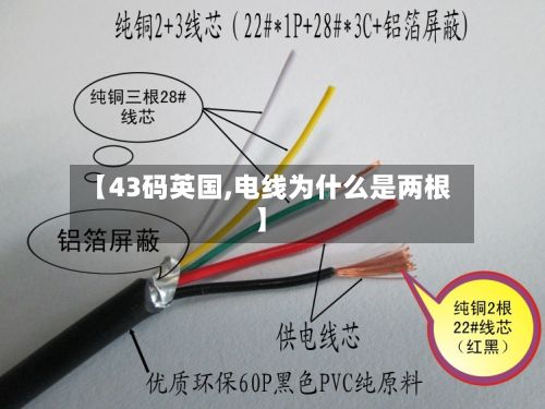 【43码英国,电线为什么是两根】