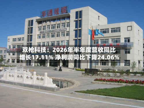 双枪科技：2026年半年度营收同比增长17.11% 净利润同比下降24.06%-第2张图片