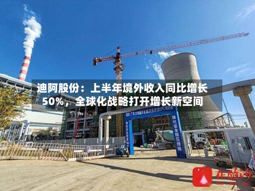 迪阿股份：上半年境外收入同比增长50%，全球化战略打开增长新空间-第3张图片