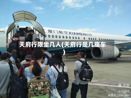 天府行限坐几人(天府行是几座车)