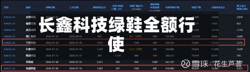 长鑫科技绿鞋全额行使