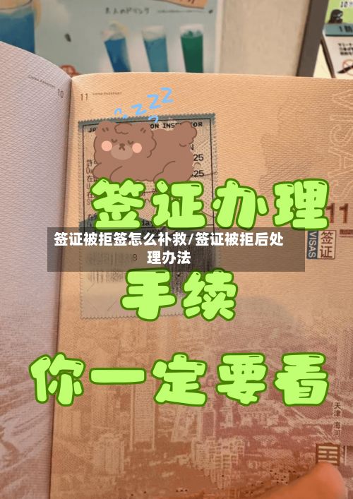 签证被拒签怎么补救/签证被拒后处理办法