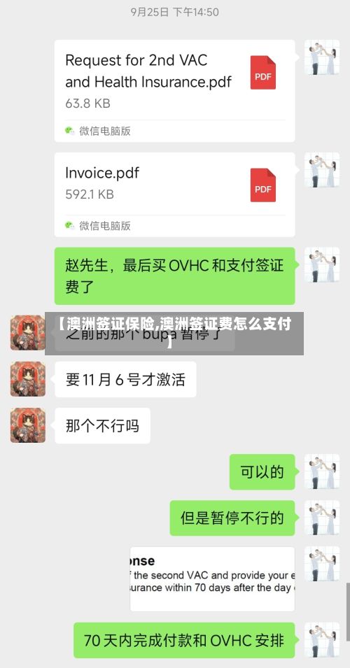 【澳洲签证保险,澳洲签证费怎么支付】