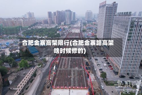 合肥金寨高架限行(合肥金寨路高架啥时候修的)