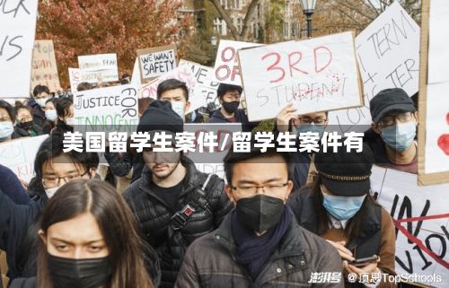 美国留学生案件/留学生案件有-第3张图片