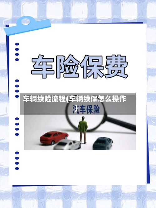 车辆续险流程(车辆续保怎么操作)