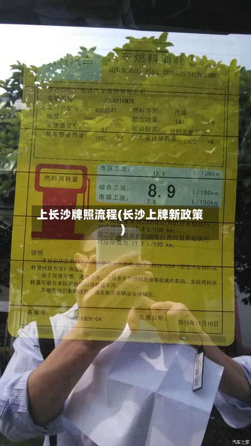 上长沙牌照流程(长沙上牌新政策)-第3张图片