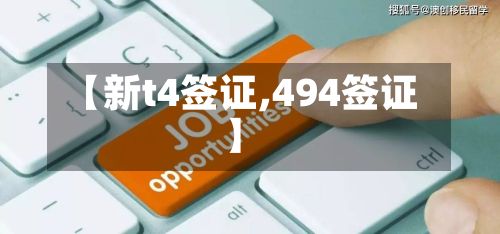 【新t4签证,494签证】