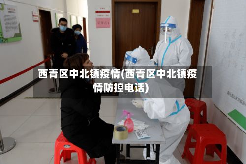 西青区中北镇疫情(西青区中北镇疫情防控电话)-第2张图片