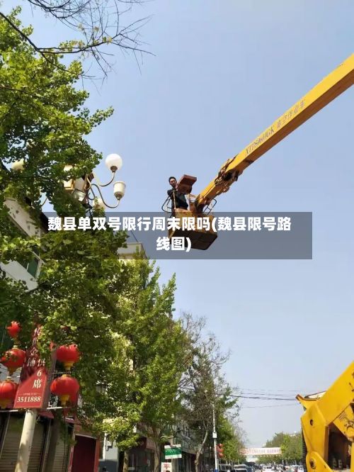 魏县单双号限行周末限吗(魏县限号路线图)-第3张图片