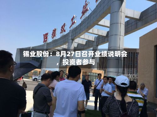 锡业股份：8月27日召开业绩说明会，投资者参与-第3张图片