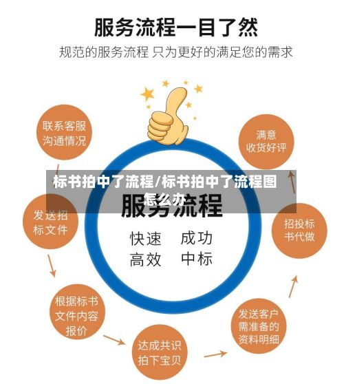 标书拍中了流程/标书拍中了流程图怎么办-第2张图片
