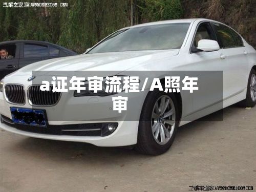 a证年审流程/A照年审