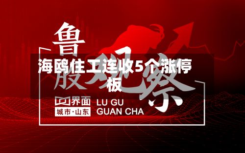 海鸥住工连收5个涨停板-第2张图片