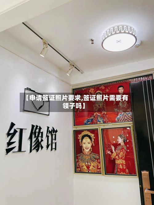 【申请签证照片要求,签证照片需要有领子吗】-第3张图片