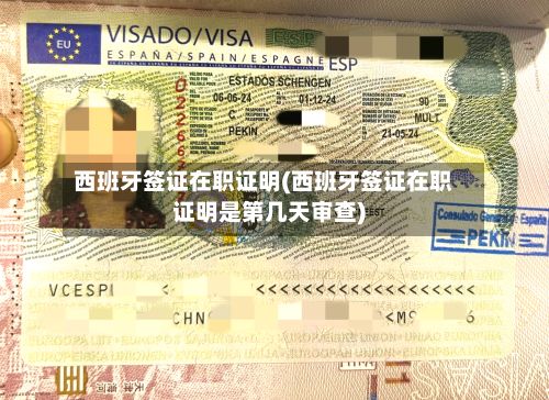 西班牙签证在职证明(西班牙签证在职证明是第几天审查)-第3张图片